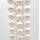 Perline Conchiglia | Conchiglie tonde bianche 6 mm grado aaaa filo 40 cm - Conc2
