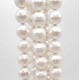 Perline Conchiglia | Conchiglie tonde bianche 8 mm grado aaaa filo 40 cm - Conc8
