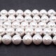 Perline Conchiglia | Conchiglie tonde bianche 8 mm grado aaaa filo 40 cm - Conc8