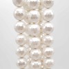 Conchiglie tonde bianche 10 mm grado aaaa pacco 10 pezzi - Conc3 - pietreeminuterie.com Conchiglie tonde bianche 10 mm grado aaaa pacco 10 pezzi (Conc3) - pietreeminuterie.com