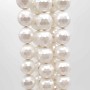 Conchiglie tonde bianche 10 mm grado aaaa pacco 10 pezzi 