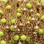 Catena acciaio oro pallina smaltata verde 50 cm