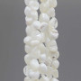 Conchiglie naturali pepite 6/8 mm bianche filo 40 cm