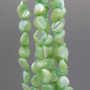 Conchiglie naturali pepite 6/8 mm verdi filo 40 cm