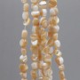 Conchiglie naturali pepite 6/8 mm panna filo 40 cm