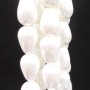 Gocce conchiglia smaltata bianche 9.5x6 mm lisce grado A+ pacco 10 pz