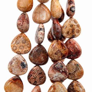 Corallo fossile goccia 18 mm liscia conf. 5 pz Corallo fossile goccia 18 mm liscia conf. 5 pz