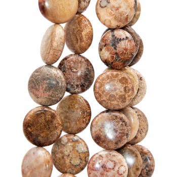 Corallo fossile disco liscio 18 mm conf. 5 pz