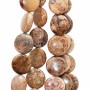 Corallo fossile disco liscio 18 mm conf. 5 pz