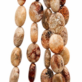 Corallo fossile ovale liscio 18x13 mm conf. 5 pz