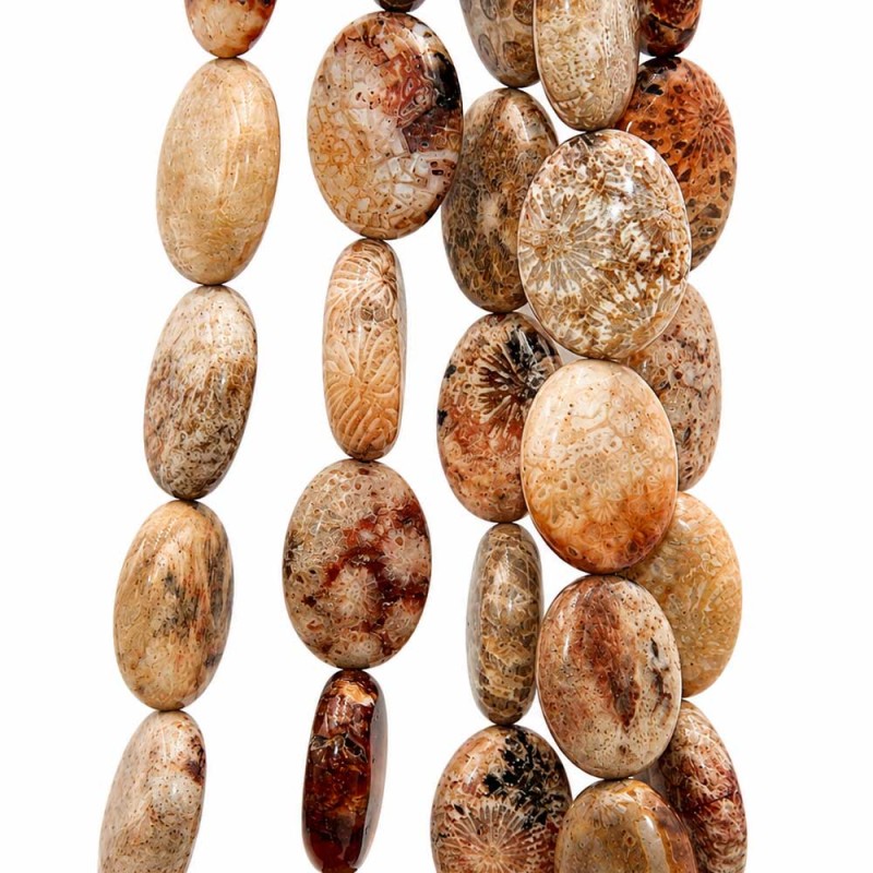 Corallo fossile ovale liscio 18x13 mm conf. 5 pz Corallo fossile ovale liscio 18x13 mm conf. 5 pz