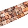 Corallo fossile quadrato liscio 16 mm conf. 4 pz