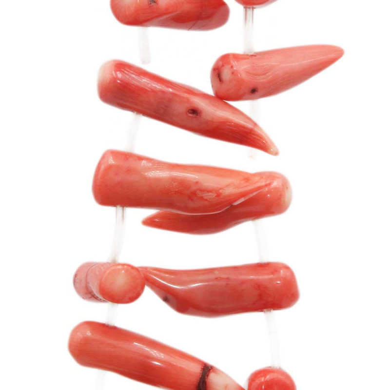 Corallo bambù corno 30/40 mm circa 1 pz (cor66cor) - pietreeminuterie.com