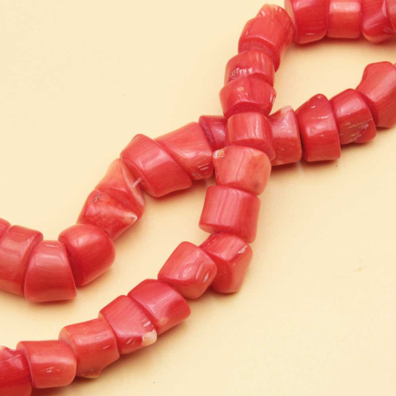 Corallo bambù irregolare 11x7 circa con. 10 pz (cor-con10) - pietreeminuterie.com