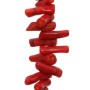 Corallo bambù rametto arancio 20/25 mm 4 pz
