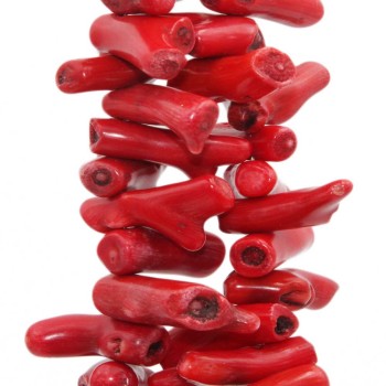 Corallo bambù rosso rametto 25/28 mm 2 pz