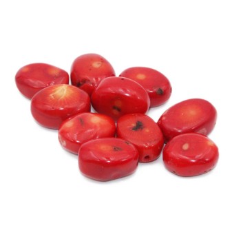 Corallo bambù rosso sasso lucido 24x18 circa 1 pz