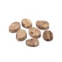 Diaspro jasper marrone 20x15 mm conf. 10 pz