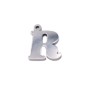 10 pezzi Charms lettera R in acciaio 10.5 mm