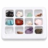 Set 12 Minerali e Pietre Naturali Grezze con Contenitore Set 12 Minerali e Pietre Naturali Grezze con Contenitore
