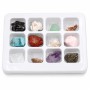 Set 12 Minerali e Pietre Naturali Grezze con Contenitore