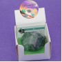 Minerale da collezione fluorite con cofanetto 40/50 mm conf. 1 pz