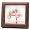 Cornice in legno albero quarzo 12x12 cm conf. 1 pz - corn-0004 - pietreeminuterie.com Cornice in legno albero quarzo 12x12 cm conf. 1 pz (corn-0004) - pietreeminuterie.com