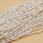 Perle di fiume pepita 5x3 mm bianche AAAA Quality filo 35 cm