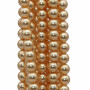Perle cerate grado A++ tonde oro 6 mm filo 40 cm