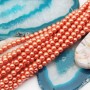 Perle cerate grado A++ tonde arancio 4 mm filo 40 cm