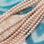 Perle cerate grado A++ tonde cipria 4 mm filo 40 cm