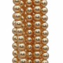 Perle cerate grado A++ tonde oro 6 mm filo 40 cm