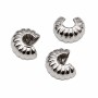 Copri schiaccino intagliato in acciaio 5 mm conf. 10 pz