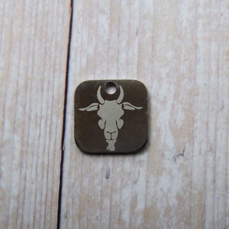 Charms con segno zodiacale inciso a laser Capricorno 15 mm pacco da 1 pezzo (Seg5009) - pietreeminuterie.com